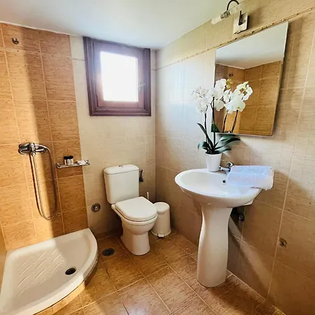 埃莱尼公寓酒店 招待所 Mykonos Town